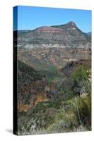 USA, Arizona, Black River of the Salt River Canyon-Bernard Friel-Stretched Canvas