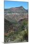 USA, Arizona, Black River of the Salt River Canyon-Bernard Friel-Mounted Photographic Print