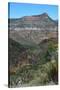 USA, Arizona, Black River of the Salt River Canyon-Bernard Friel-Stretched Canvas