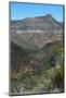 USA, Arizona, Black River of the Salt River Canyon-Bernard Friel-Mounted Photographic Print