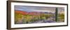 USA, Arizona, Catalina. Panoramic of sunset on desert and Catalina Mountains.-Jaynes Gallery-Framed Photographic Print