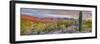 USA, Arizona, Catalina. Panoramic of sunset on desert and Catalina Mountains.-Jaynes Gallery-Framed Photographic Print