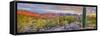 USA, Arizona, Catalina. Panoramic of sunset on desert and Catalina Mountains.-Jaynes Gallery-Framed Stretched Canvas