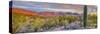 USA, Arizona, Catalina. Panoramic of sunset on desert and Catalina Mountains.-Jaynes Gallery-Stretched Canvas