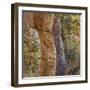 USA, Arizona, Chiricahua National Monument. Close-up of Cliff Face-Don Paulson-Framed Photographic Print