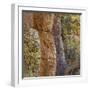 USA, Arizona, Chiricahua National Monument. Close-up of Cliff Face-Don Paulson-Framed Photographic Print