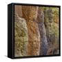 USA, Arizona, Chiricahua National Monument. Close-up of Cliff Face-Don Paulson-Framed Stretched Canvas