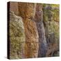 USA, Arizona, Chiricahua National Monument. Close-up of Cliff Face-Don Paulson-Stretched Canvas