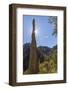 USA, Arizona, Chiricahua National Monument. Sunburst on Rocky Spire-Don Paulson-Framed Photographic Print