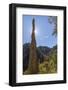 USA, Arizona, Chiricahua National Monument. Sunburst on Rocky Spire-Don Paulson-Framed Photographic Print