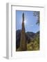 USA, Arizona, Chiricahua National Monument. Sunburst on Rocky Spire-Don Paulson-Framed Photographic Print