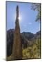 USA, Arizona, Chiricahua National Monument. Sunburst on Rocky Spire-Don Paulson-Mounted Photographic Print