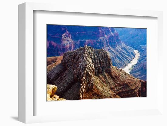 USA, Arizona, Colorado and Little Colorado Rivers in Marble Canyon-Bernard Friel-Framed Photographic Print