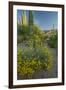 USA, Arizona, Coronado NF. Scenic of Saguaros and Paper Flowers-Cathy & Gordon Illg-Framed Photographic Print