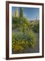 USA, Arizona, Coronado NF. Scenic of Saguaros and Paper Flowers-Cathy & Gordon Illg-Framed Photographic Print