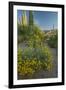 USA, Arizona, Coronado NF. Scenic of Saguaros and Paper Flowers-Cathy & Gordon Illg-Framed Photographic Print