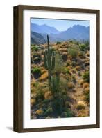 USA, Arizona. Desert view in the Superstition Mountains.-Anna Miller-Framed Photographic Print