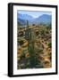 USA, Arizona. Desert view in the Superstition Mountains.-Anna Miller-Framed Photographic Print