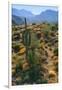 USA, Arizona. Desert view in the Superstition Mountains.-Anna Miller-Framed Photographic Print