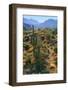 USA, Arizona. Desert view in the Superstition Mountains.-Anna Miller-Framed Photographic Print