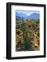 USA, Arizona. Desert view in the Superstition Mountains.-Anna Miller-Framed Photographic Print