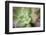 USA, Arizona. Detail of succulent plant.-Jaynes Gallery-Framed Photographic Print