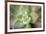 USA, Arizona. Detail of succulent plant.-Jaynes Gallery-Framed Premium Photographic Print