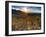 USA, Arizona, from Sitgreaves Pass on Route 66-Alan Copson-Framed Premium Photographic Print