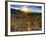 USA, Arizona, from Sitgreaves Pass on Route 66-Alan Copson-Framed Photographic Print