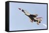 USA, Arizona, Glendale, Luke Air Force Base. F-16 Thunderbird Flyby-Jaynes Gallery-Framed Stretched Canvas