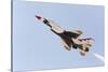 USA, Arizona, Glendale, Luke Air Force Base. F-16 Thunderbird Flyby-Jaynes Gallery-Stretched Canvas