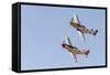 USA, Arizona, Glendale, Luke Air Force Base. Two P-51 Mustangs Flying-Jaynes Gallery-Framed Stretched Canvas