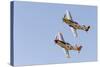 USA, Arizona, Glendale, Luke Air Force Base. Two P-51 Mustangs Flying-Jaynes Gallery-Stretched Canvas