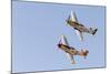 USA, Arizona, Glendale, Luke Air Force Base. Two P-51 Mustangs Flying-Jaynes Gallery-Mounted Photographic Print