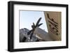 USA, Arizona, Glendale. Underside of Usaf Transport Plane on Display-Jaynes Gallery-Framed Photographic Print