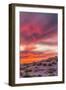 USA, Arizona, Globe, Round Mountain Park. Sunset on desert super bloom.-Jaynes Gallery-Framed Photographic Print