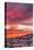 USA, Arizona, Globe, Round Mountain Park. Sunset on desert super bloom.-Jaynes Gallery-Stretched Canvas