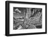 USA, Arizona, Grand Canyon, Colorado River, Float Trip from Nankoweap-John Ford-Framed Photographic Print