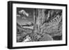 USA, Arizona, Grand Canyon, Colorado River, Float Trip from Nankoweap-John Ford-Framed Photographic Print