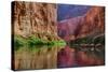 USA, Arizona, Grand Canyon, Colorado River Float Trip Whitmore Creek-John Ford-Stretched Canvas