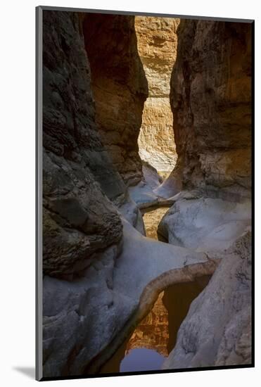 USA, Arizona, Grand Canyon National Park. Canyon Reflections-Don Grall-Mounted Photographic Print