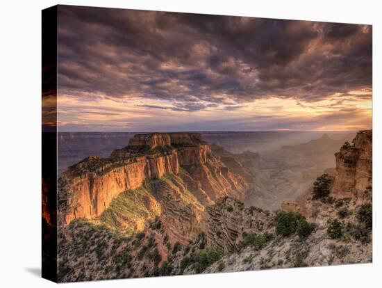 USA, Arizona, Grand Canyon National Park, North Rim, Cape Royale-Michele Falzone-Stretched Canvas