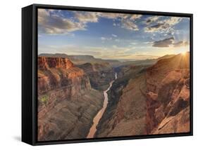 USA, Arizona, Grand Canyon National Park (North Rim), Toroweap (Tuweep) Overlook-Michele Falzone-Framed Stretched Canvas