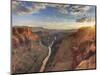 USA, Arizona, Grand Canyon National Park (North Rim), Toroweap (Tuweep) Overlook-Michele Falzone-Mounted Photographic Print