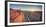 USA, Arizona, Grand Canyon National Park (North Rim), Toroweap (Tuweep)-Michele Falzone-Framed Photographic Print