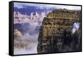 USA, Arizona, Grand Canyon National Park, North Rim-Ann Collins-Framed Stretched Canvas