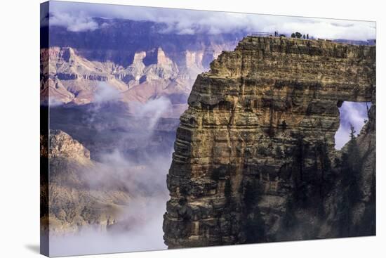 USA, Arizona, Grand Canyon National Park, North Rim-Ann Collins-Stretched Canvas