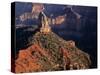 USA, Arizona, Grand Canyon National Park, North Rim-John Barger-Stretched Canvas
