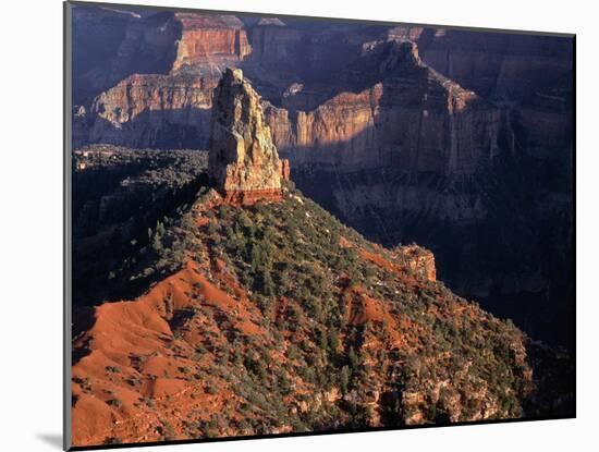 USA, Arizona, Grand Canyon National Park, North Rim-John Barger-Mounted Photographic Print