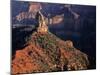 USA, Arizona, Grand Canyon National Park, North Rim-John Barger-Mounted Photographic Print